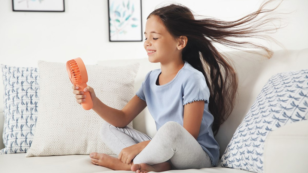 Elektrischer Ventilator Verkäufe -Elektrischer Ventilator Verkäufe 1